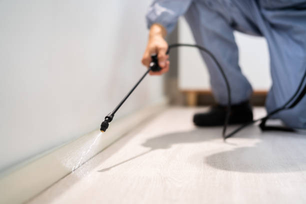 Licensed Cockroach Control service in Mount Airy, NC - Nex Pest Control