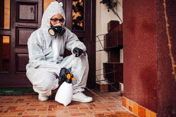 Reliable Cockroach Control contractor in Mount Airy, NC by Nex Pest Control